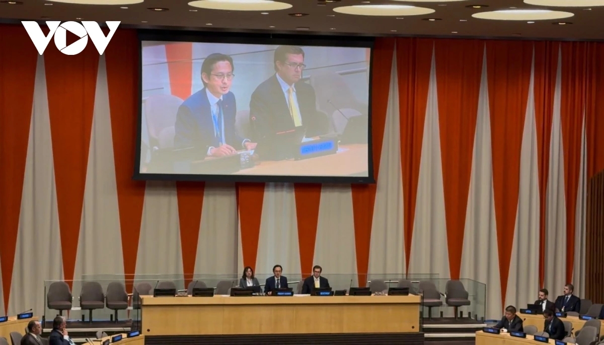 Vietnam chairs UN consultation on Nuclear Non-Proliferation Treaty